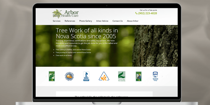 Vietnam software outsourcing Abor